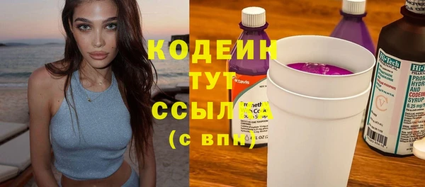 PSILOCYBIN Вяземский