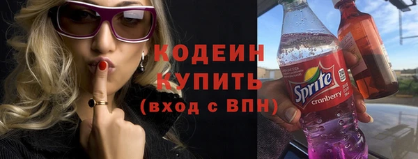 PSILOCYBIN Вяземский