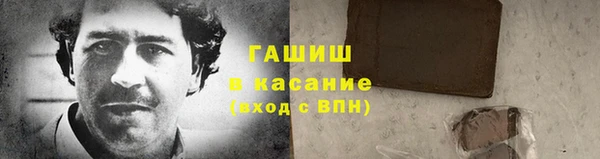 PSILOCYBIN Вяземский