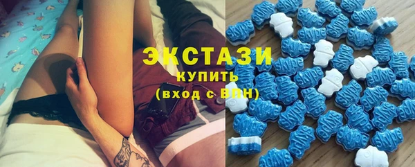 PSILOCYBIN Вяземский