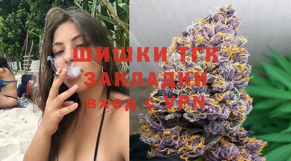 PSILOCYBIN Вяземский