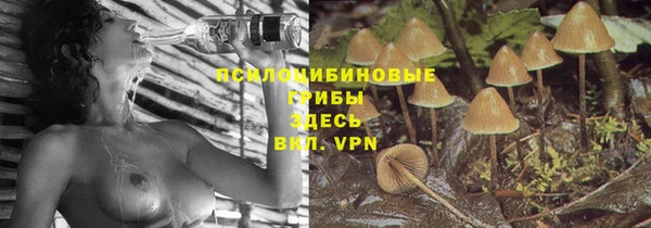 PSILOCYBIN Вяземский