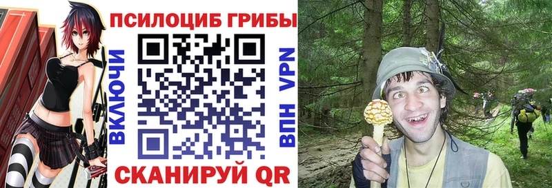ссылка на мегу вход  Заволжье  Псилоцибиновые грибы мухоморы 